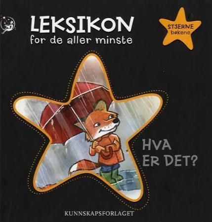 Hva er det?