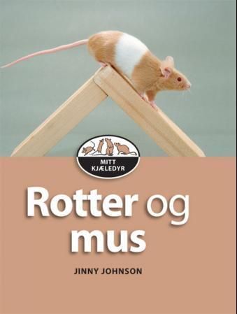 Rats and mice
