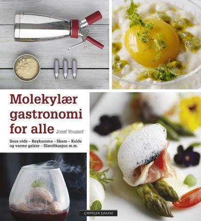 Molecular cooking at home