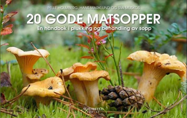 20 bra matsvampar