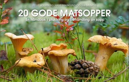 20 bra matsvampar