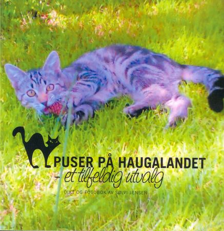 Puser på Haugalandet