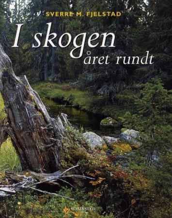 I skogen, året rundt