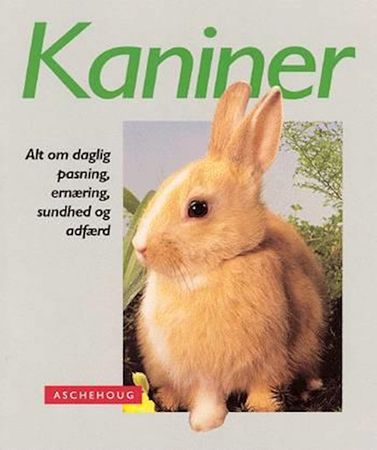 Kaninchen richtig pflegen und verstehen
