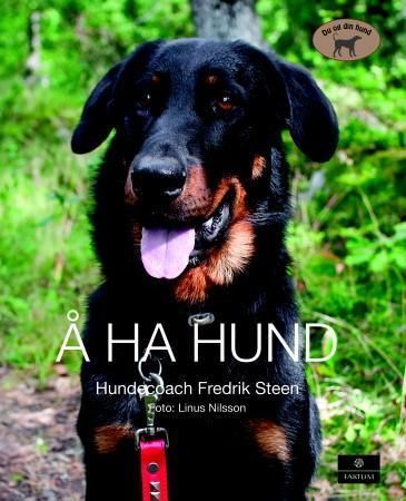 Att ha hund