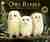 Owl babies