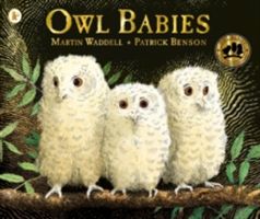 Owl babies