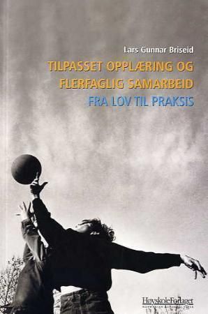 Fra lov til praksis