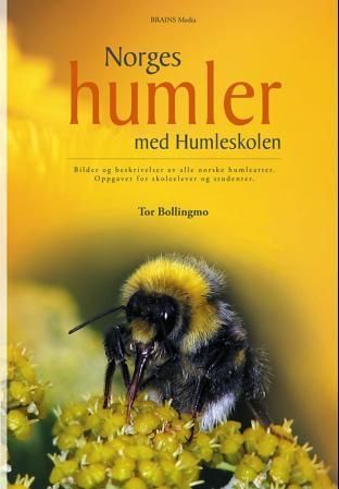 Norges humler med Humleskolen