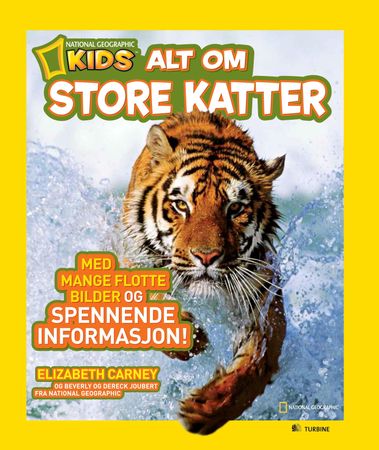Everything big cats