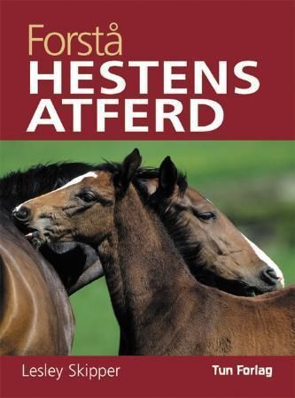 Understanding horse behaviour