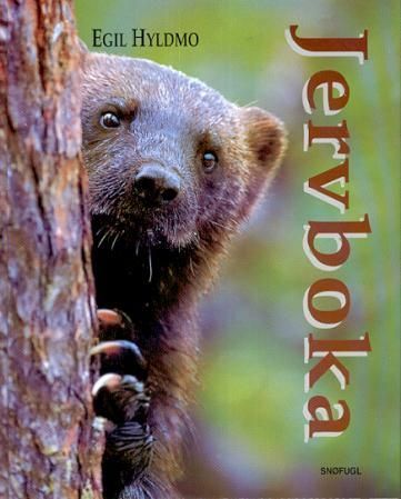 Jervboka
