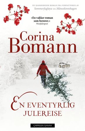 Eine wundersame Weihnachtsreise