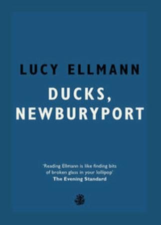 Ducks, Newburyport