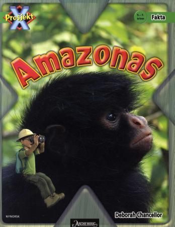 The Amazon