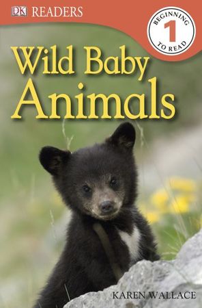 Wild baby animals