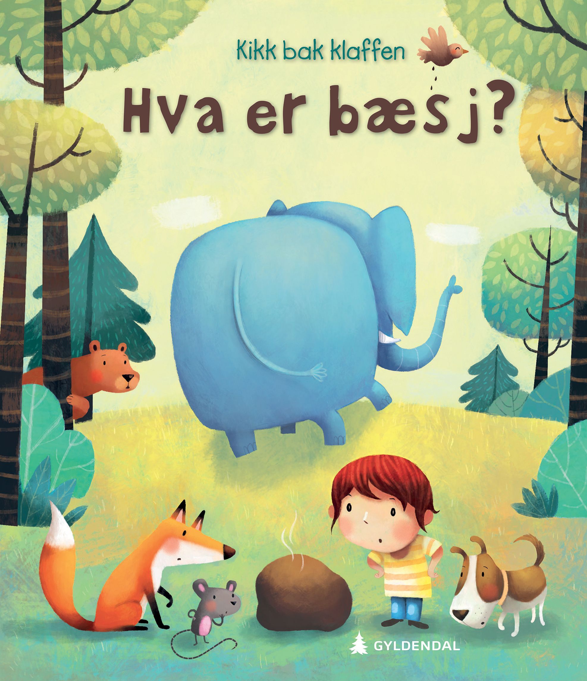 What is poo?