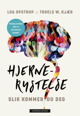 Hjernerystelse