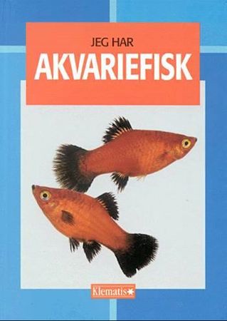 Fische im Aquarium