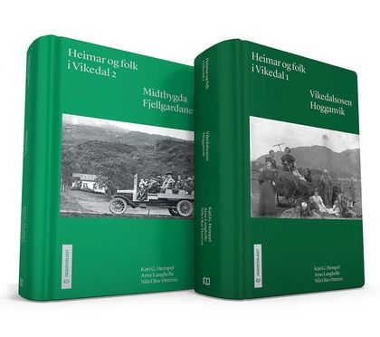 Heimar og folk i Vikedal. 1. Vikedalsosen, Hogganvik