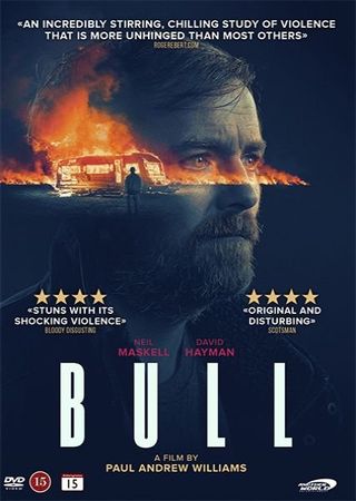 Bull