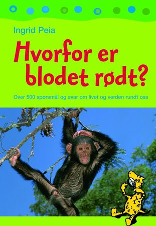 Mein grosses Buch der Fragen und Antworten