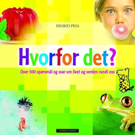 Warum Wackelt Wackelpudding?