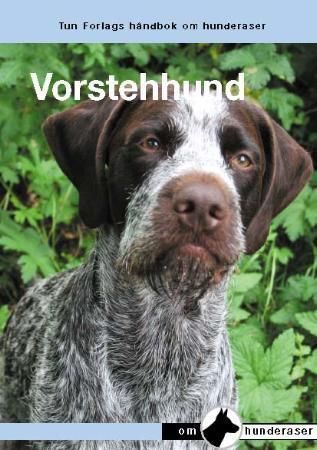 De Duitse staande hond