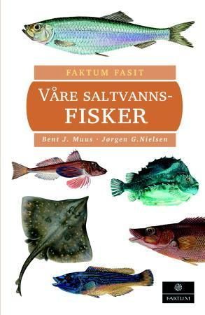 Havfisk og fiske i Nordvest-Europa