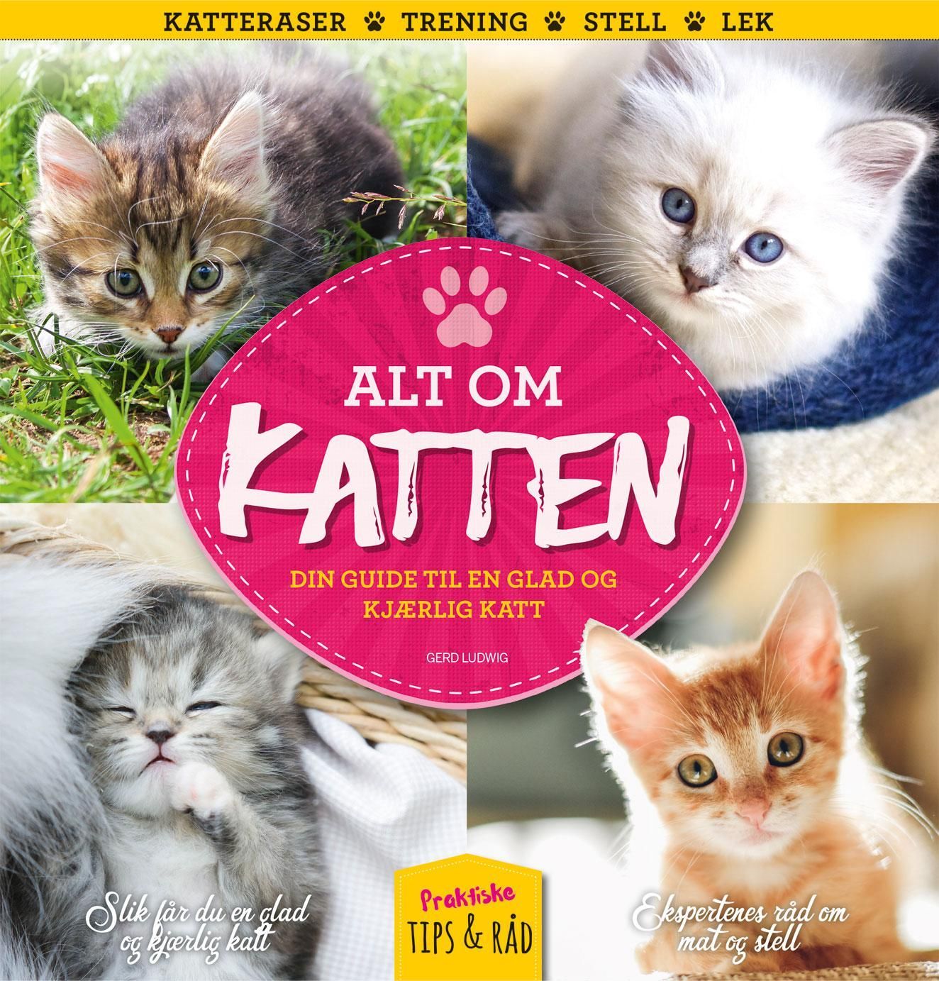 Katzen basics