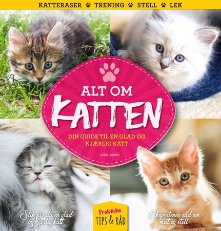 Katzen basics