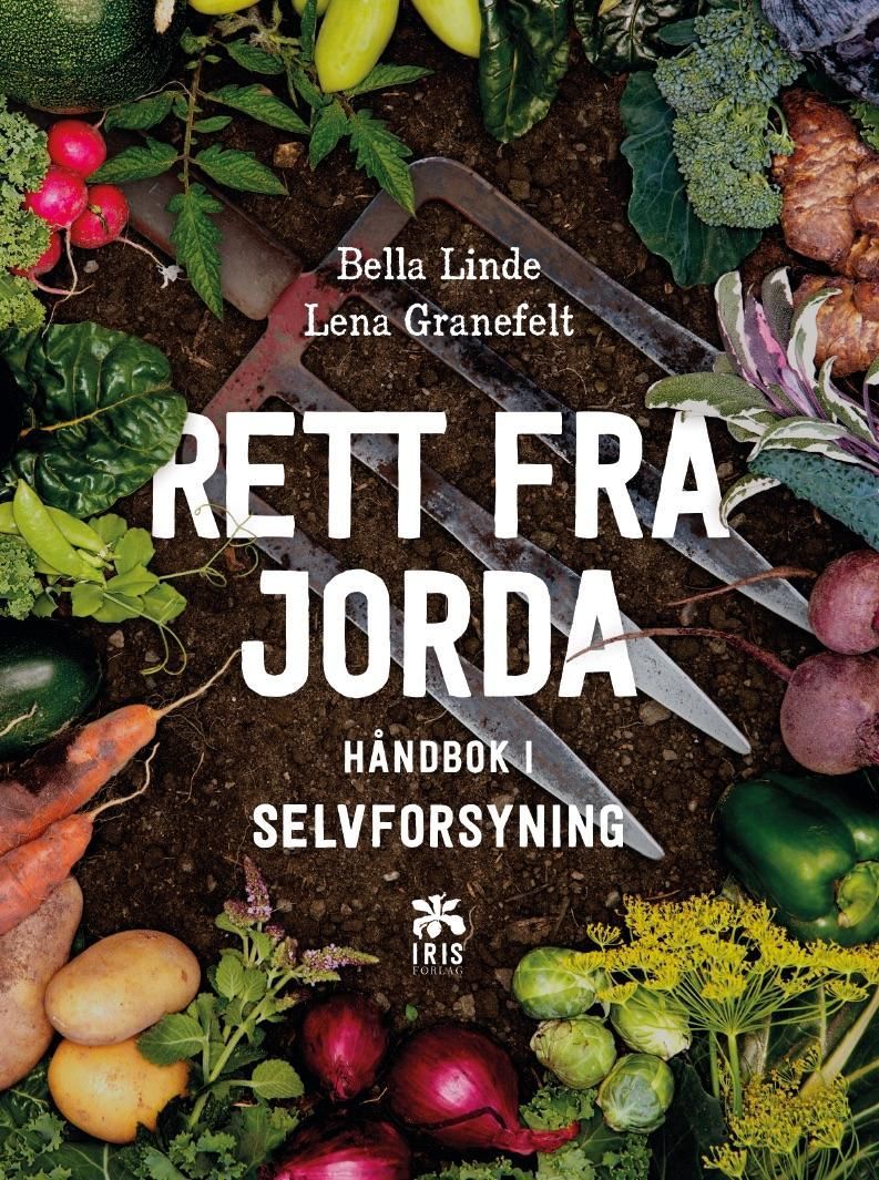 Rätt ur jorden