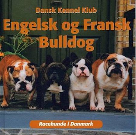 Engelsk og Fransk Bulldog