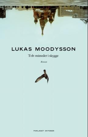 Tolv månader i skugga