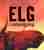 Elg i solnedgang