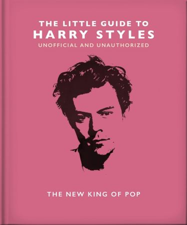 The little guide to Harry Styles