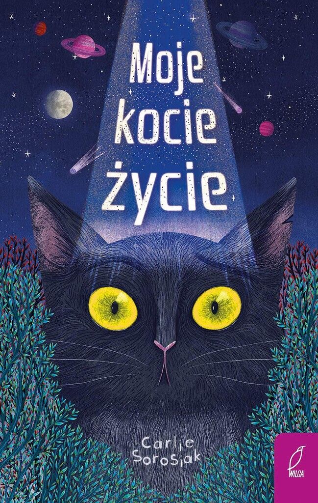My life as a cat