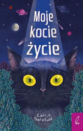 My life as a cat