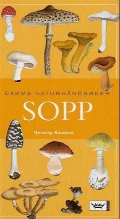 Svampe i farver