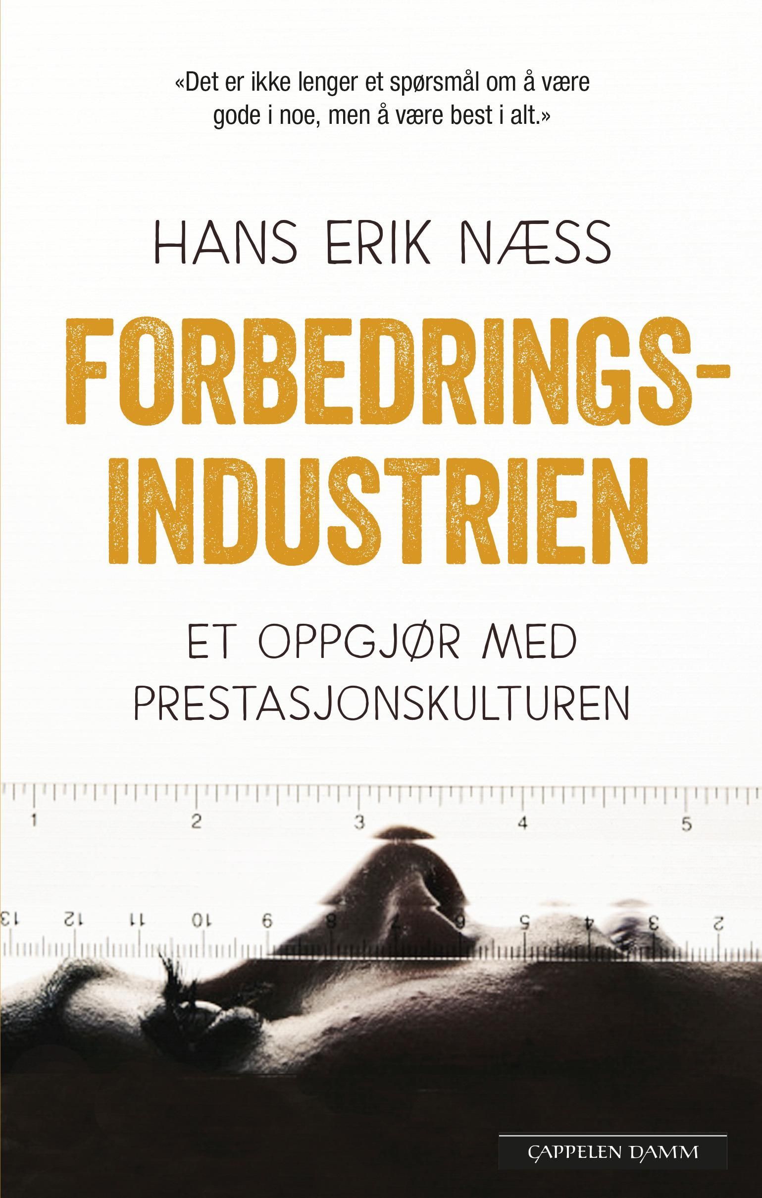 Forbedringsindustrien