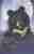 Moon bear