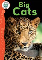 Big cats