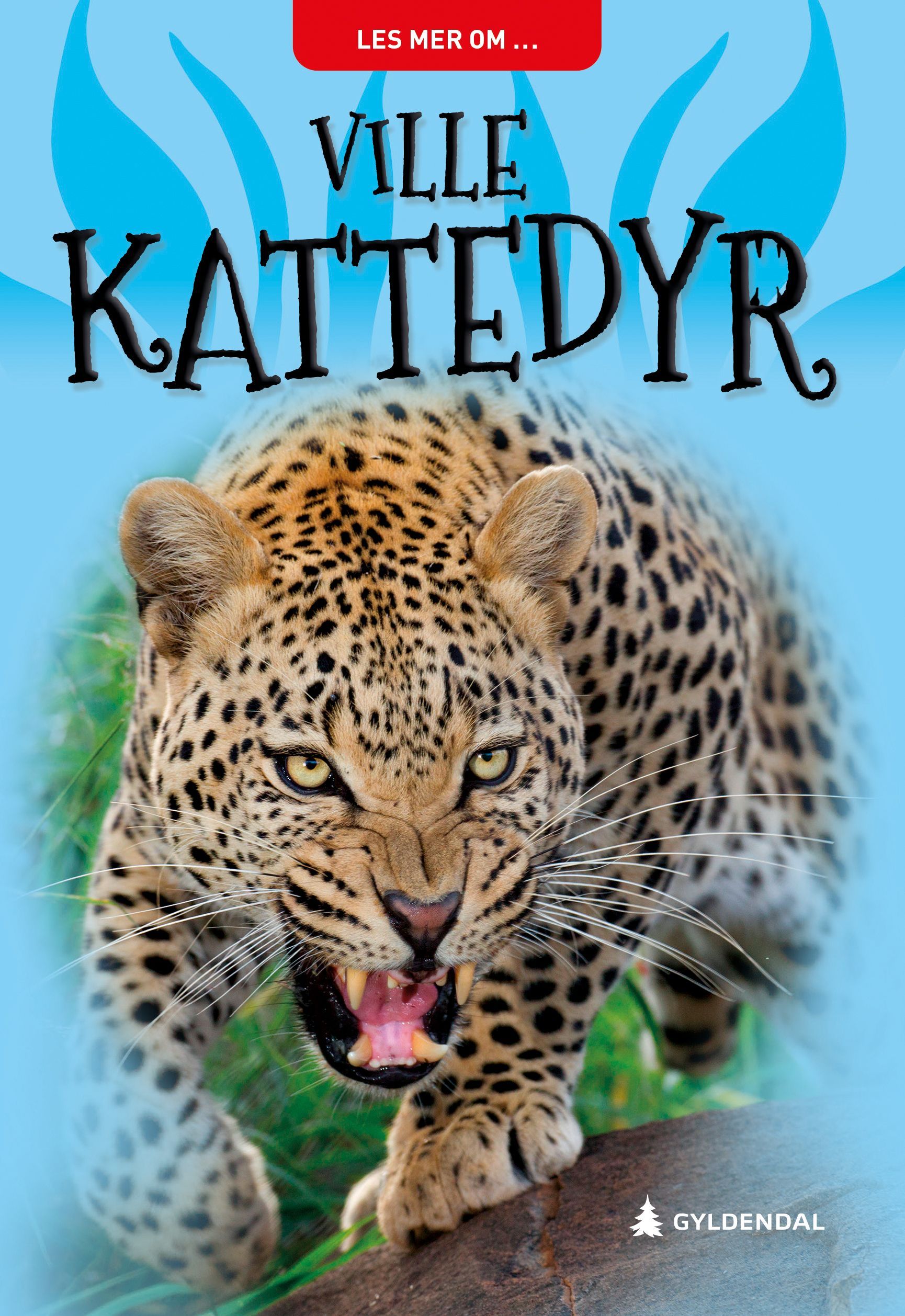 Wild cats