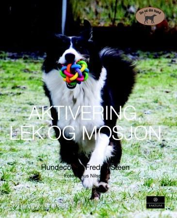Aktivering, lek och motion