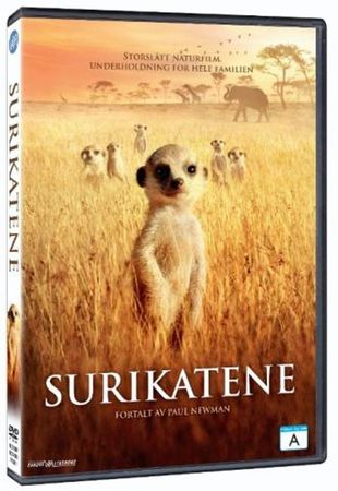 The meerkats