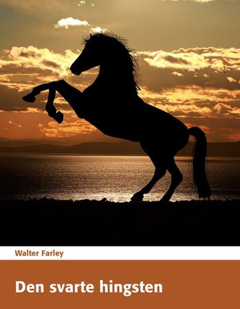 The black stallion