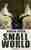 Small world