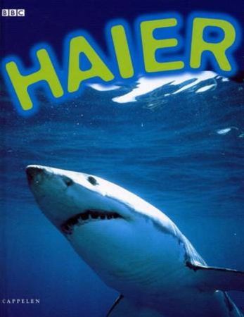 Shark watch!