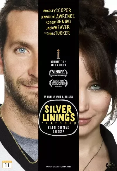 Silver linings playbook