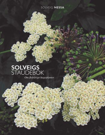Solveigs staudebok. 28 cm